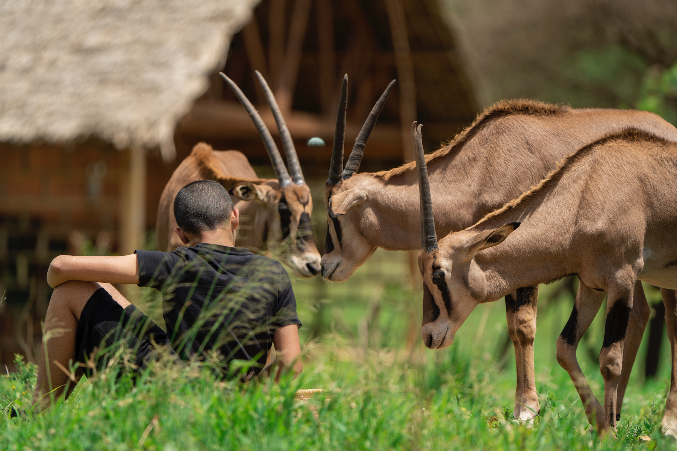 Serval Wildlife Sanctuary 4